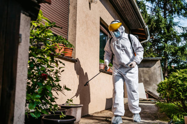 Best Affordable Pest Control Services  in Covington, OH