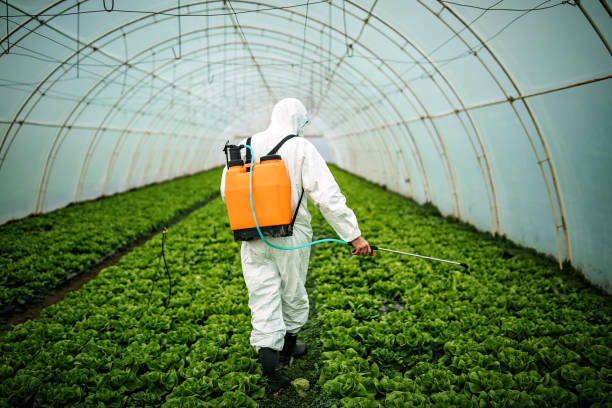 Best Pest Prevention Services  in Covington, OH