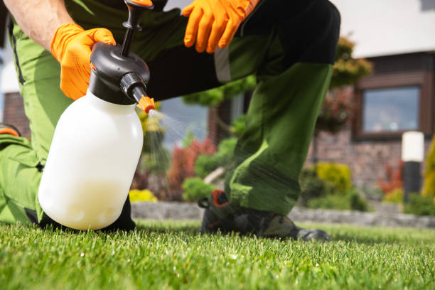 Best Best Pest Control Near Me  in Covington, OH