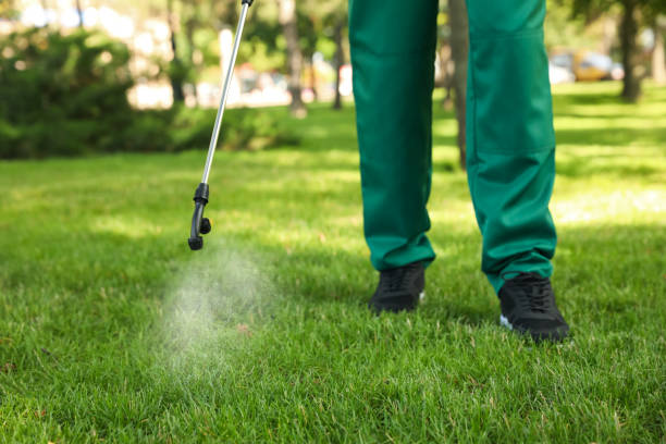 Best Ant Control Services  in Covington, OH