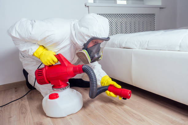 Best Flea Control Services  in Covington, OH