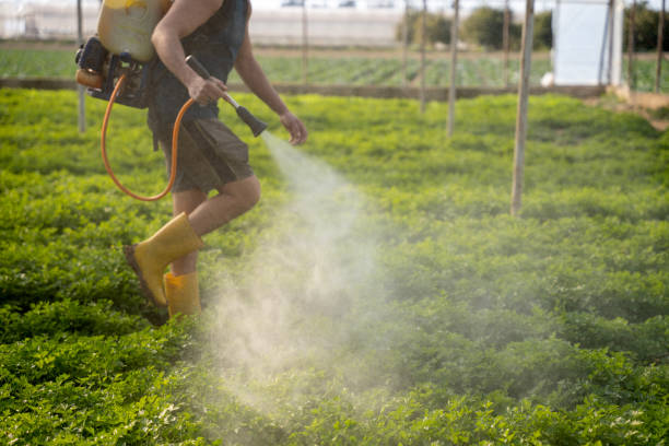 Best Local Pest Control Services  in Covington, OH