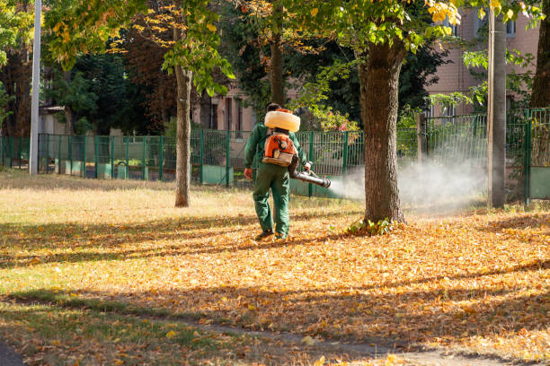 Best Wasp Removal Services  in Covington, OH