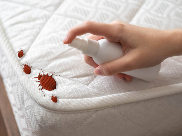 Best Best Pest Control Companies  in Covington, OH