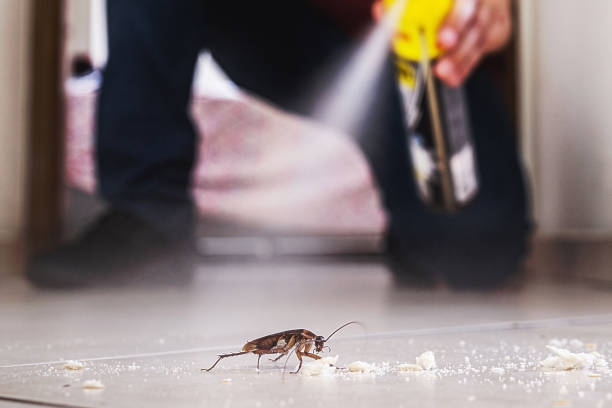 Covington, OH Pest Control Company