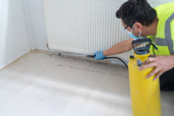 Best Wasp Removal Services  in Covington, OH